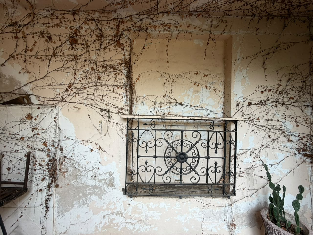 Casa en Venta en El Centro de San Antonio de Areco. a Refaccionar - Imagen 14