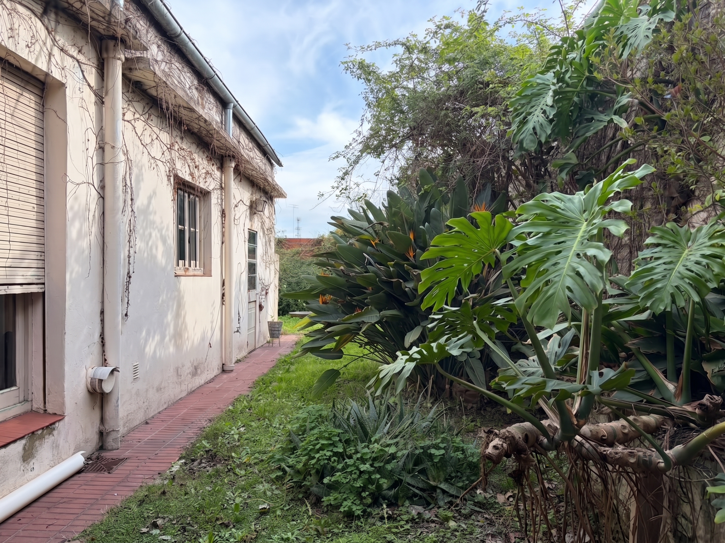 Casa en Venta en El Centro de San Antonio de Areco. a Refaccionar - Imagen 17
